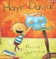 Hayır David!