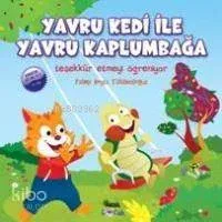 Yavru Kedi İle Yavru Kaplumbağa