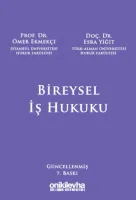 Bireysel İş Hukuku