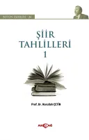 Şiir Tahlilleri 1
