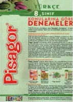 Türkçe