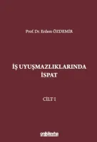 İş Uyuşmazlıklarında İspat (3 Cilt)