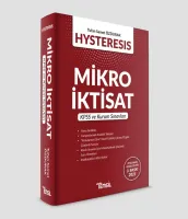 Hysteresis Mikro İktisat