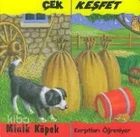 Minik Köpek