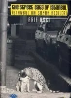İstanbul'un Sokak Kedileri