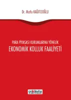 Para Piyasası Kurumlarına Yönelik Ekonomik Kolluk Faaliyeti