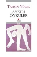 Aykırı Öyküler