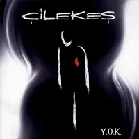 Çilekeş - Y.O.K. LP