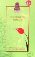 Divan-ı Kebir'den Seçmeler