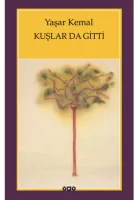 Kuşlar Da Gitti