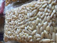 helvalık,dolmalık fıstık (500 gr )