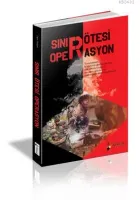 Sınır Ötesi Operasyon
