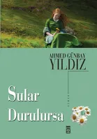 Sular Durulursa