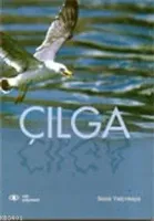 Çılga