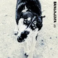 Kafabindünya ‎– Obi CD