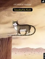 İstanbul’da Kedi