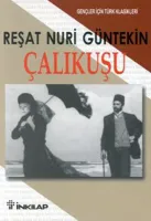 Çalıkuşu : Gençler İçin
