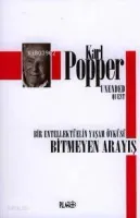 Bitmeyen Arayış