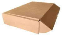 Kilitli Karton Kutu 25x25x5 cm