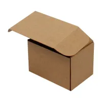 Kilitli Karton Kutu 12x6x6 cm.