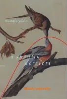 Aşkınlık Dersleri