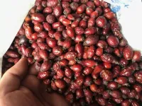 Kuşburnu (500 gr)