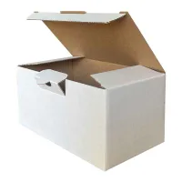 Kilitli Beyaz Kutu 17,5x10x8,5 cm.