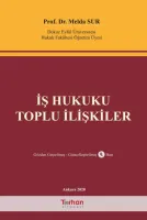 İş Hukuku Toplu İlişkiler