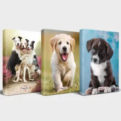 Köpek Temalı Defter Seti 3'lü v3