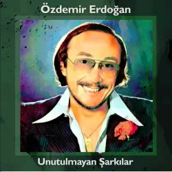 Özdemir Erdoğan Unutulmayan Şarkılar (Plak)