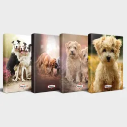 Köpek Temalı Defter Seti 4'lü v3