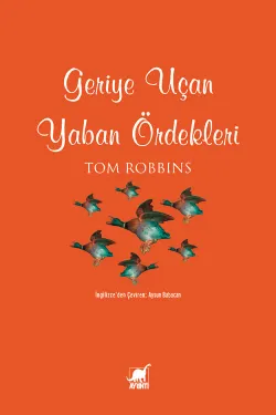 Geriye Uçan Yaban Ördekleri