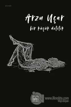 Bir Küçük Delilik
