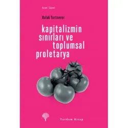 KAPİTALİZMİN SINIRLARI VE TOPLUMSAL PROLETARYA (HASARLI)