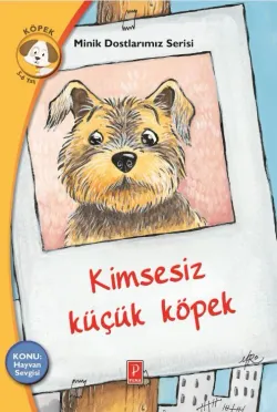 Kimsesiz Küçük Köpek