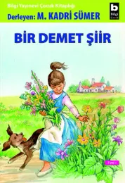Bir Demet Şiir