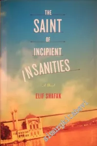 The Saint of Incipient Insanities: A Novel -        2004