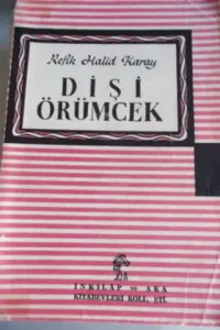 Dişi Örümcek