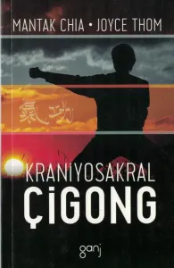 Kraniyosakral Çigong