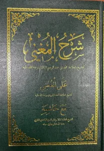 Şerhul Muğni Arapça (2 Renk)