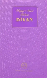 Niyazi-i Mısri Halveti Divanı