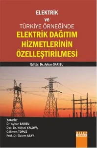 Elektrik Dağıtım Hizmetlerinin Özelleştirilmesi; Elektrik Ve Türkiye Örneğinde