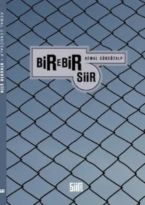Birebir Şiir