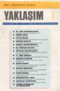 Yaklaşım 1993 /1