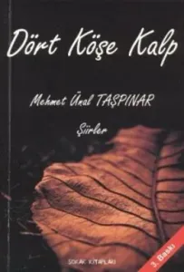 Dört Köşe Kalp