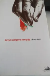 Suyun Gölgeye Karıştığı