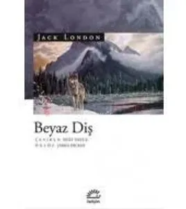 Beyaz Diş - İLETİŞİM