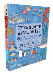 Okyanusun Anatomisi