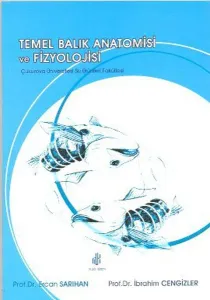 Temel Balık Anatomisi ve Fizyolojisi