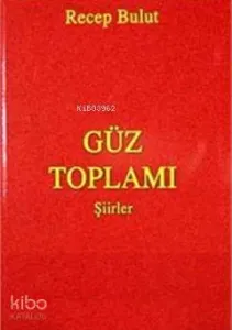 Güz Toplamı Şiirler